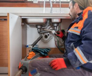 About The Faucet Pros Red Level, AL